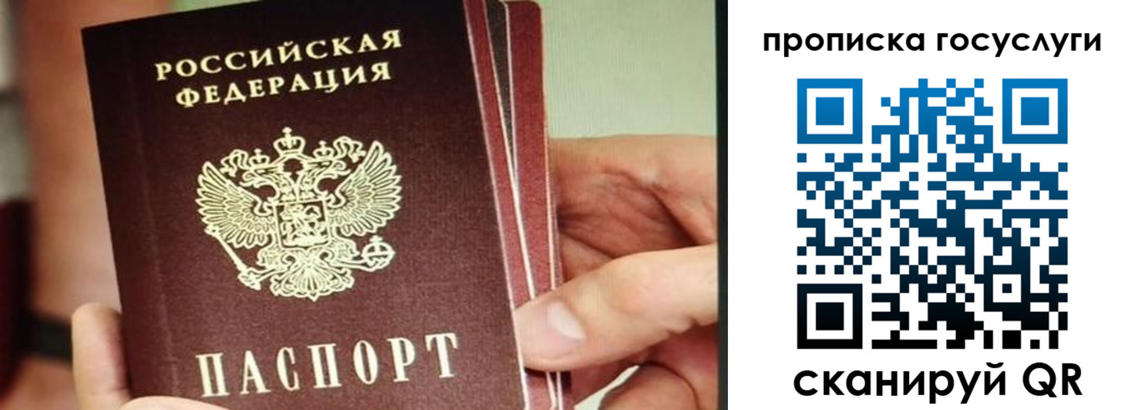 пропишу в квартире в Корсакове